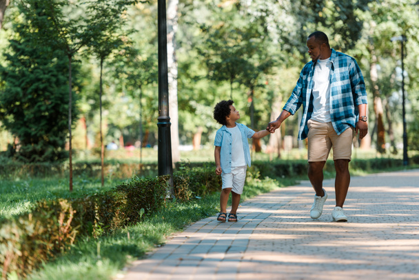 happy african american kid holding hands with handsome father while walking in park  - Φωτογραφία, εικόνα