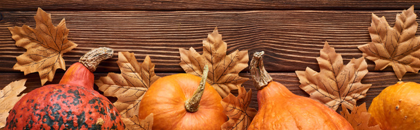 Panoramaaufnahme von Kürbissen auf brauner Holzoberfläche mit getrockneten Herbstblättern - Foto, Bild
