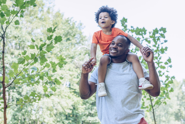 cheerful african american man piggybacking adorable son while walking in park - Photo, Image