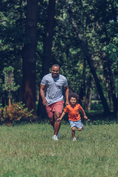 alegre afro-americano pai e filho correndo enquanto se divertindo no parque
 - Foto, Imagem