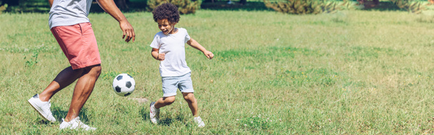 panoramic shot of african american father and son playing football in park - Photo, Image