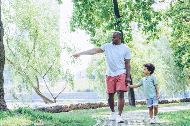 young african american father pointing with finger while walking with adorable son in park - Fotografie, Obrázek