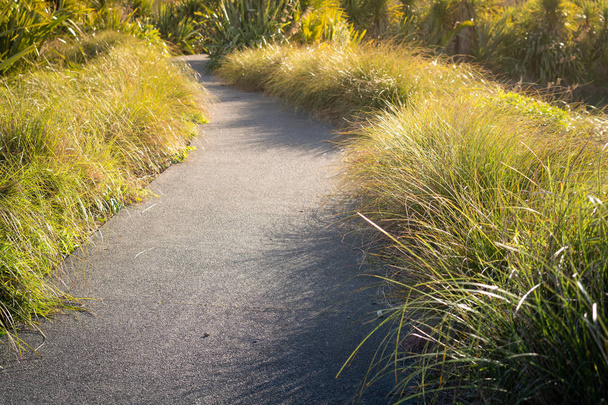 Concrete Path Through the Grass in a Park on a Sunny Afternoon  - Photo, Image
