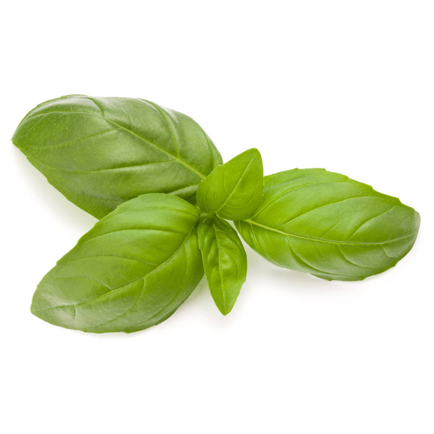 Sweet basil herb leaves isolated on white background closeup  - Photo, Image