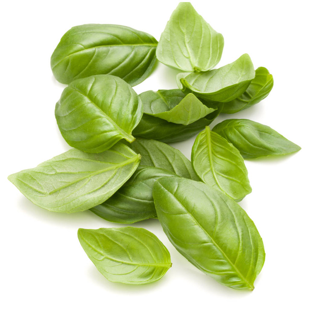 Sweet basil herb leaves handful isolated on white background clo - Foto, afbeelding