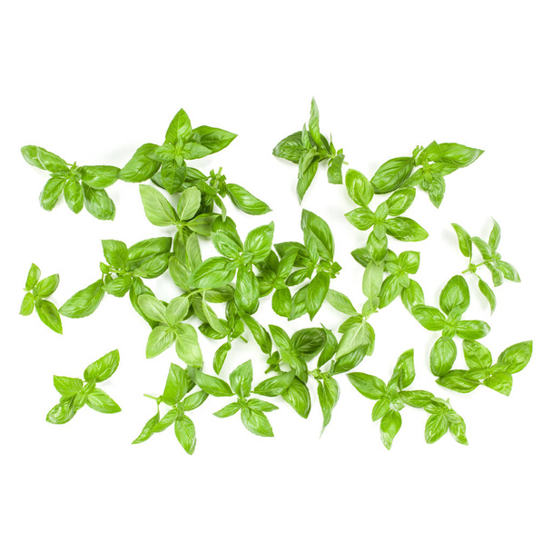 Sweet Genovese basil leaves background arrangement isolated on w - Photo, Image