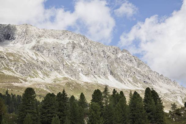 Alpine mountain peak with trees in foreground. - Foto, Bild
