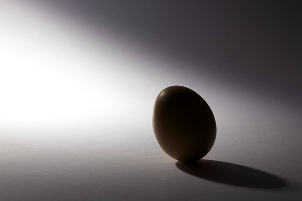 Egg on gray background - Φωτογραφία, εικόνα