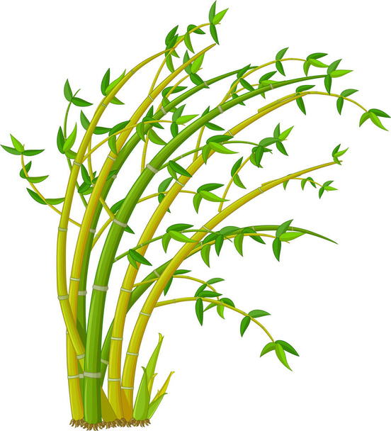 Desenhos animados verdes amarelos frescos da árvore do bambu para seu projeto
 - Vetor, Imagem