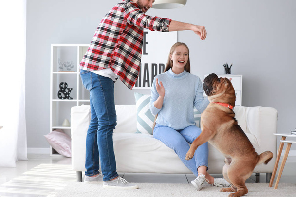 Счастливая пара тренирует милую собаку дома
 - Фото, изображение