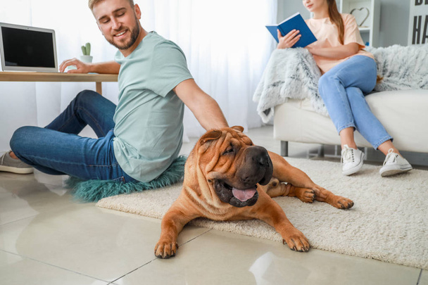 Cão Shar-Pei bonito com proprietários em casa
 - Foto, Imagem