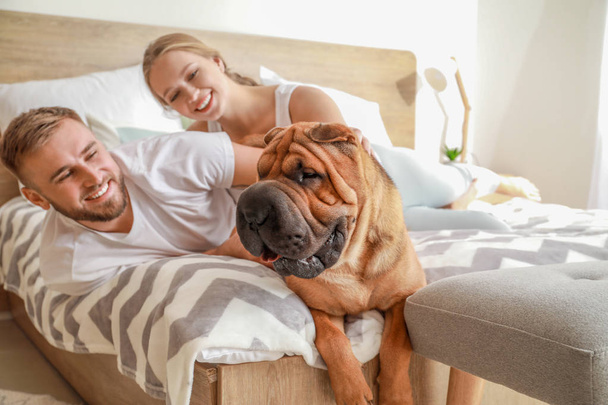 Coppia felice con simpatico cane sul letto a casa
 - Foto, immagini