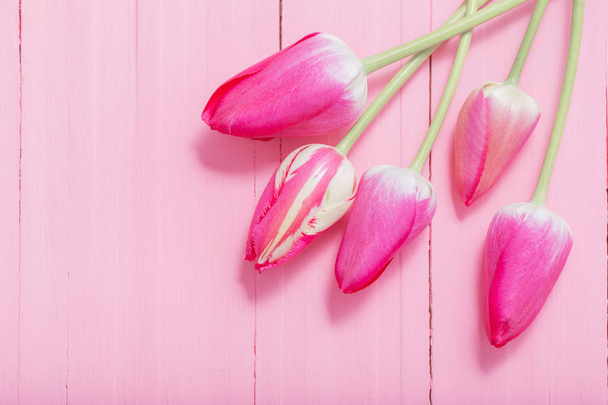 pink tulips on pink wooden background - Foto, Bild