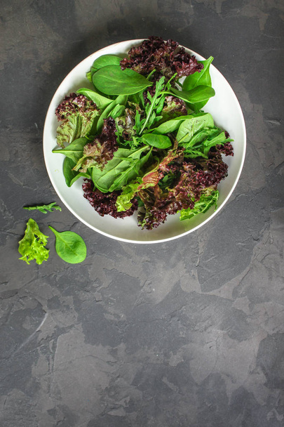 Ensalada saludable, hojas mezclan ensalada (mezcla de micro verduras, aperitivo jugoso). fondo alimentario - Imagen
 - Foto, Imagen
