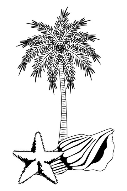 zomer strand en vakantie cartoon in zwart-wit - Vector, afbeelding
