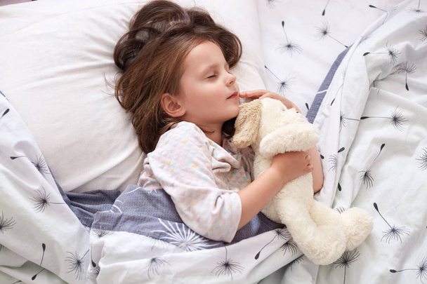 Indoor shot of adorable little child girl sleeping in bed with her toy, child girl hugging teddy bear while laying on linens with dandelion, toddler having rest afterhard day. ?hildren concept. - 写真・画像