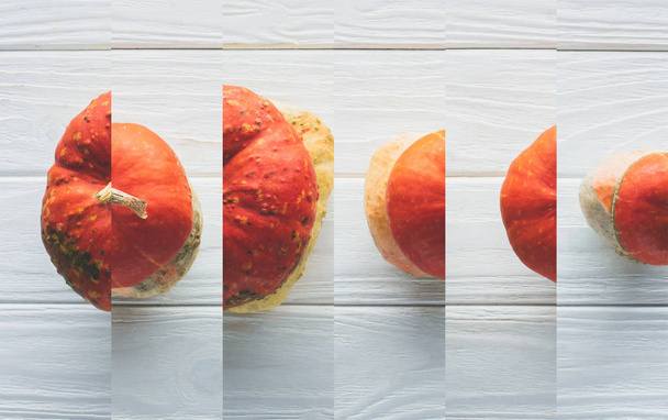 collage of ripe orange natural pumpkin on white wooden table - Foto, Imagem
