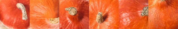 Collage aus reifem, orangefarbenem natürlichen Kürbis - Foto, Bild