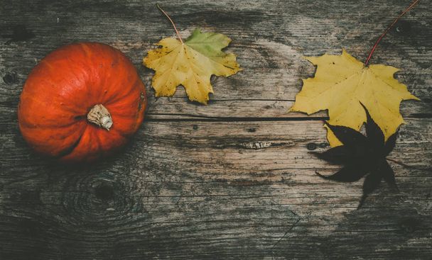 Bright autumn  leaves and pumpkin  on background,close up - Foto, afbeelding