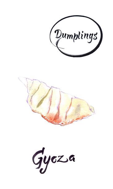 Asian dumpling Gyoza watercolor illustration - Photo, Image