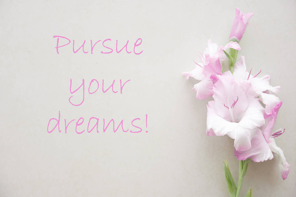 Ansichtkaart met roze gladioluspursue Your Dreams-motiverende en inspirerende citaten - Foto, afbeelding
