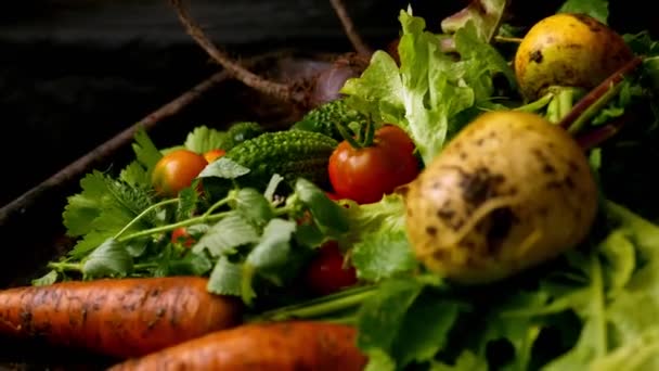 close-upbeelden van diverse rijpe groenten op rustieke tafelbladen - Video