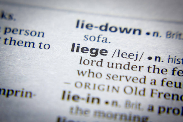 Sözlükte Liege sözcüğü veya tümceciği. - Fotoğraf, Görsel