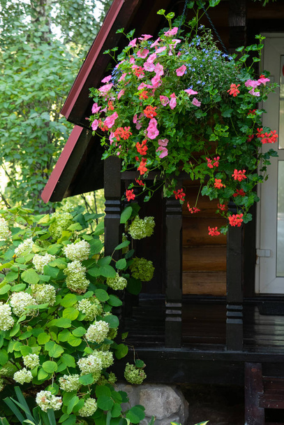 Piękne kwietniki z kwiatami i dekoracyjnymi roślinami w pobliżu domu wiejskim - Zdjęcie, obraz