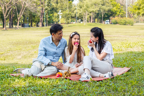 Asian families relax in the park - Photo, image