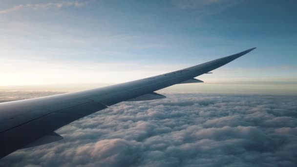 Vliegtuig cruisen boven wolken met rustgevend zonsondergang raam zicht - Video