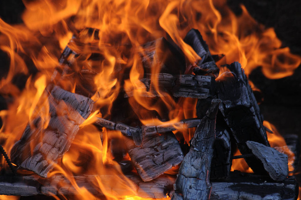 Bonfire kindled on a journey - Фото, изображение