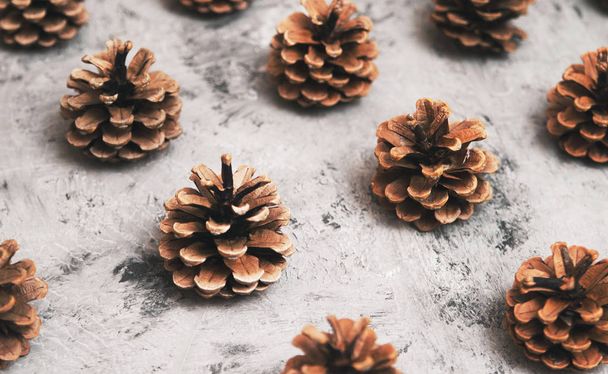 Texture of pine cones on stone background. - Fotó, kép