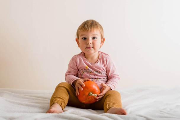 Cute little girl hugging a pumpkin on a bed indoors. copy space - Zdjęcie, obraz