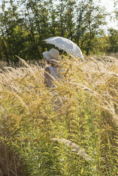 vista posteriore giovane donna in cappello, con ombrello in pizzo in un campo con spighette
 - Foto, immagini