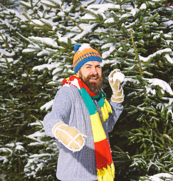 Macho with beard and mustache throws snowball. - 写真・画像
