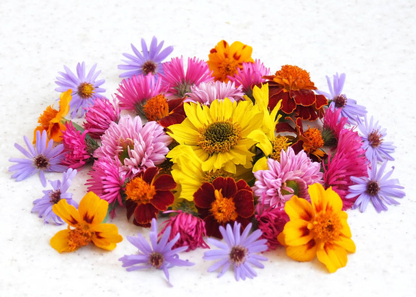 flores multicolores en la mesa, decoración, octubre, otoño. Fabricación de herbario, hobby, hecho a mano
 - Foto, Imagen