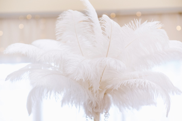 Большое белое облако перьев в светлом интерьере ресторана
. - Фото, изображение
