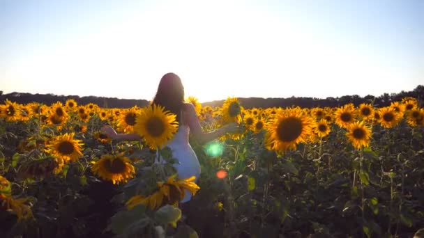 Junges Mädchen läuft bei Sonnenuntergang unter blauem Himmel am Sonnenblumenfeld entlang. Im Hintergrund scheint die Sonne. Folgen Sie der Frau beim Joggen auf der Wiese und genießen Sie die Freiheit. Rückansicht Zeitlupe - Filmmaterial, Video