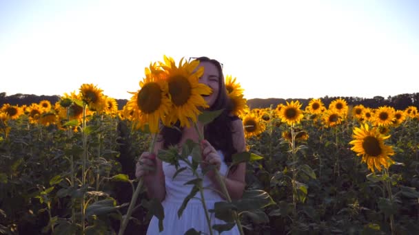 Νεαρός χαμογελαστό γυναίκα παίζει με ηλιέλαιο στο πεδίο κάτω από το γαλάζιο του ουρανού κατά το ηλιοβασίλεμα. Αστείο κορίτσι κρύβεται πίσω από τα λουλούδια. Μπροστινή άποψη αργή κίνηση, κοντινό πλάνο - Πλάνα, βίντεο