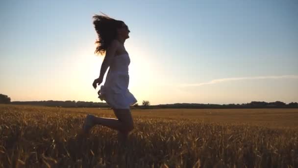 Fiatal lány végigfutó Búzamező, kék ég alatt, a naplemente. Nő a kocogás a réten. Háttér: süt a nap. Oldalnézet lassú mozgás - Felvétel, videó