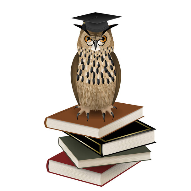 coruja com chapéu de formatura sobre os livros
  - Vetor, Imagem