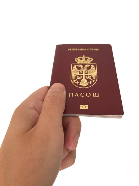 Pasaporte serbio sobre fondo blanco
 - Foto, Imagen