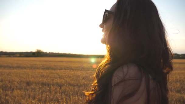 schöne Mädchen geht entlang Weizenfeld mit Sonnenfackel im Hintergrund. Profil einer jungen Frau, die bei Sonnenuntergang auf die Wiese geht. Sommerfreizeit im Naturkonzept. Seitenansicht Nahaufnahme Zeitlupe - Filmmaterial, Video