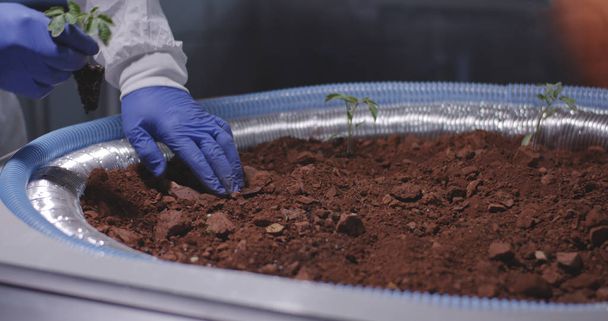 Tiedemies istuttamassa taimia Marsin tukikohtaan
 - Valokuva, kuva