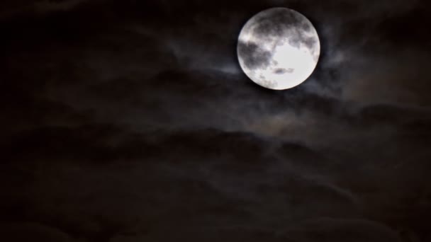 Mysterieuze nachtelijke hemel met silhouet van passagiersvliegtuig vliegen over nacht volle maan. - Video