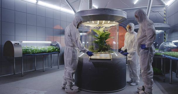 Cientistas no terno hazmat verificando incubadoras de plantas
 - Foto, Imagem