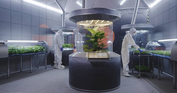 Scientists in hazmat suit checking plant incubators - Photo, Image