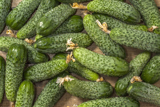 Background of green cucumbers on a wooden table. Organic food. Agricultural retailer. Farm food. - Photo, Image