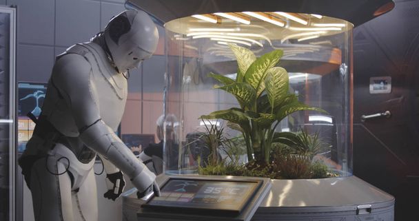 Robot trabajando con una incubadora de plantas
 - Foto, Imagen