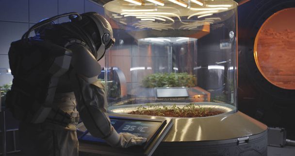 Astronauts and robot examining plant incubator - Photo, Image